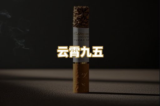 云霄九五
